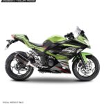 Kawasaki Ninja 300 Green Race Design [Full Body Edge To Edge Wrap / Decal / Sticker Kit]