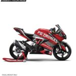 TVS RR310 Petronas Design [Full Body Edge To Edge Wrap / Decal / Sticker Kit]