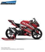 TVS RR310 Petronas Design [Full Body Edge To Edge Wrap / Decal / Sticker Kit]