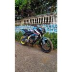 Pulsar NS Sharkbite Design [Full Body Edge To Edge Wrap / Decal / Sticker Kit] - Image 3