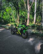 Kawasaki Ninja 300 Shark 2 Design [Full Body Edge To Edge Wrap / Decal / Sticker Kit] - Image 3