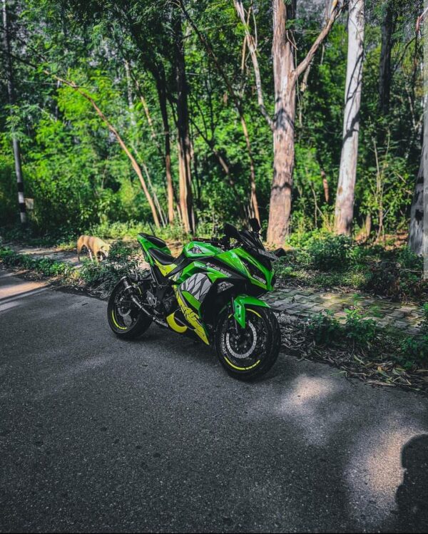 Kawasaki Ninja 300 Shark 2 Design [Full Body Edge To Edge Wrap / Decal / Sticker Kit] - Image 3