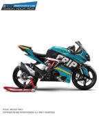 TVS RR310 Crip Design [Full Body Edge To Edge Wrap / Decal / Sticker Kit]