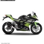 Kawasaki Ninja 300 Raceline Design [Full Body Edge To Edge Wrap / Decal / Sticker Kit]