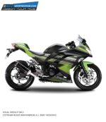 Kawasaki Ninja 300 Raceline Design [Full Body Edge To Edge Wrap / Decal / Sticker Kit]