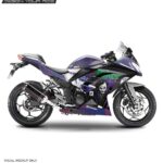 Kawasaki Ninja 300 Joker Design [Full Body Edge To Edge Wrap / Decal / Sticker Kit]
