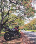 TVS Apache RTR Race Series Design 160/200 4V [Full Body Edge To Edge Wrap / Decal / Sticker Kit] - Image 4