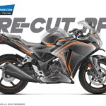 Honda CBR PPF 150-250R [Pre-Cut Paint Protection Film]