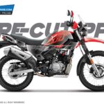Hero Xpulse 200 PPF [Pre-Cut Paint Protection Film]