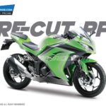 Kawasaki Ninja 300 PPF [Pre-Cut Paint Protection Film]