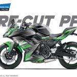 Kawasaki Ninja-650 PPF [Pre-Cut Paint Protection Film]