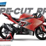 TVS Apache RR310 PPF [Pre-Cut Paint Protection Film]