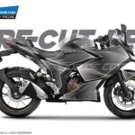 Suzuki Gixxer SF-250 PPF [Pre-Cut Paint Protection Film]
