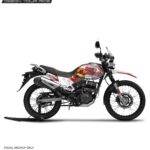 Hero Xpulse 200 Burger Design [Full Body Wrap / Decal / Sticker Kit]