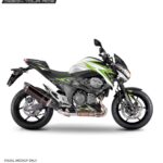 Kawasaki Z800 Bolt Edition [Full Body Wrap / Decal / Sticker Kit]