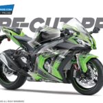 Kawasaki ZX10R PPF [Pre-Cut Paint Protection Film]