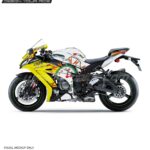 Kawasaki ZX10R Destiny Edition [Full Body Wrap / Decal / Sticker Kit]