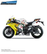 Kawasaki ZX10R Destiny Edition [Full Body Wrap / Decal / Sticker Kit]