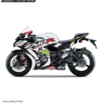 Kawasaki ZX10R Official Design [Full Body Wrap / Decal / Sticker Kit]
