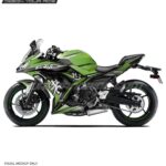 Kawasaki Ninja 650 Racing Team Design [Full Body Wrap / Decal / Sticker Kit]